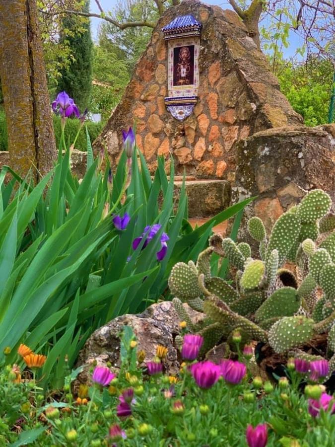 Torcales Del Lobo Apartamentos Rurales Посо-Алькон Екстер'єр фото